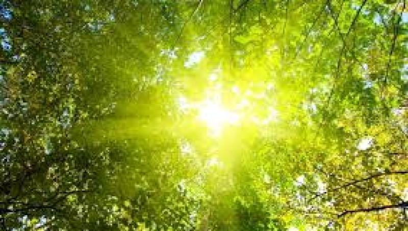 Vremea cu Flavia Mihășan: În sfârșit avem parte de timp frumos! Soarele va străluci până la 34 de grade!