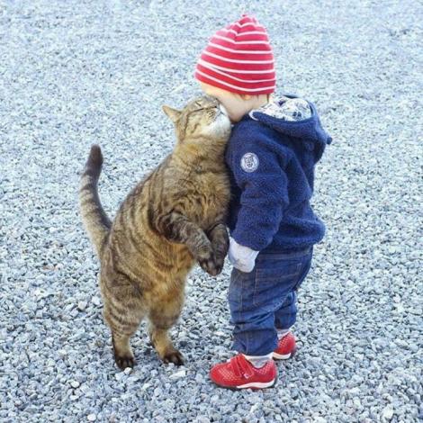 Zece imagini care te vor emoţiona! Dragostea dintre un copil şi un animal este de nepreţuit