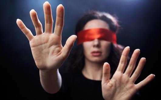 Traiul &icirc;n intuneric nu ne sensibilizează. Persoanele nevăzătoare nu primesc ajutor de la oameni, ci de la animale