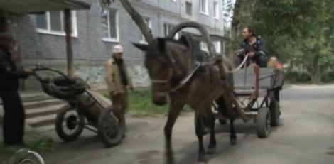 Un primar din Rusia a dat caii putere pe cai normali: Angajații săi merg cu căruța prin oraș!