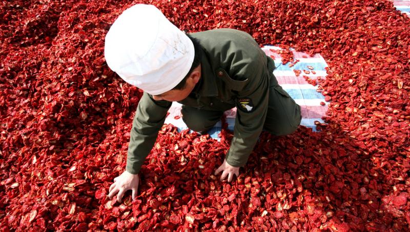 GALERIE FOTO: China roșie. Agricultorii comuniști au scos la uscat legumele de culoarea partidului