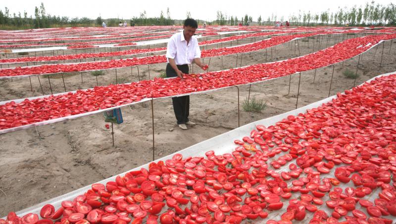 GALERIE FOTO: China roșie. Agricultorii comuniști au scos la uscat legumele de culoarea partidului