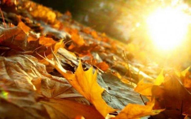 Prognoza METEO p&acirc;nă &icirc;n luna noiembrie! Cum va fi vremea