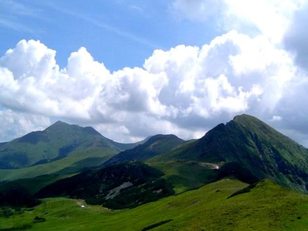 O plantă a fost REDESCOPERITĂ &icirc;n Rom&acirc;nia, după mai bine de un SECOL