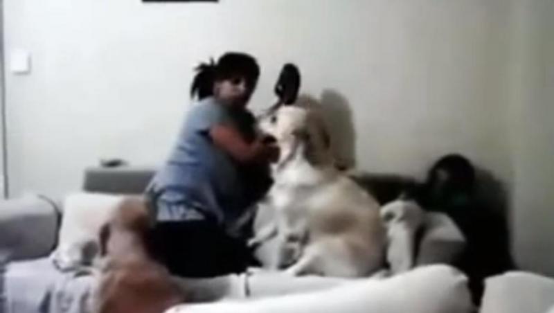 La un pas să fie bătut de mama sa, un copil este salvat de câini