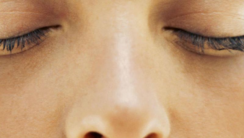 Nasul poate detecta peste 50 000 de mirosuri diferite