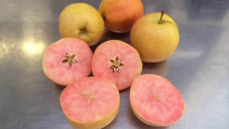 Englezii scot pe piaţă merele roz şi portocalii