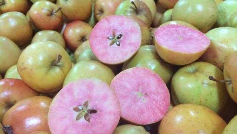 Englezii scot pe piaţă merele roz şi portocalii