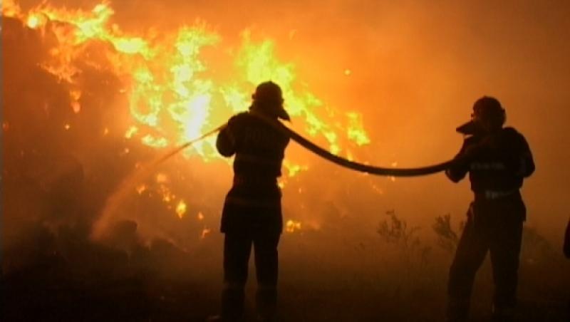 Incendii devastatoare în California