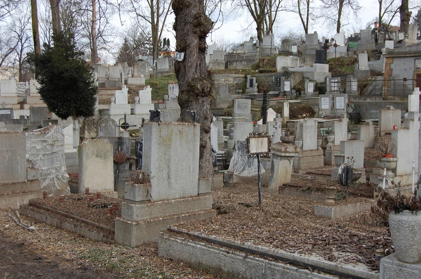 Caz ŞOCANT! Un bebeluş de numai două săptăm&acirc;ni, abandonat l&acirc;ngă un cimitir