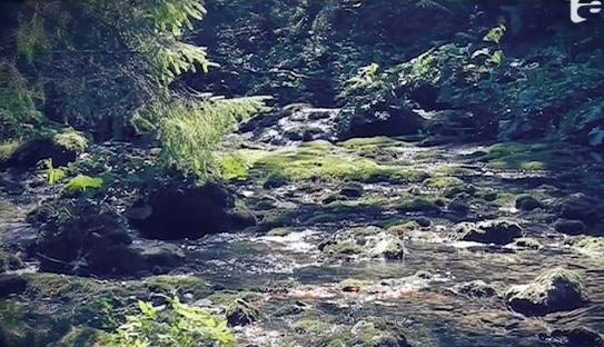 SPECIAL! Peştera Scărişoara, o minune naturală