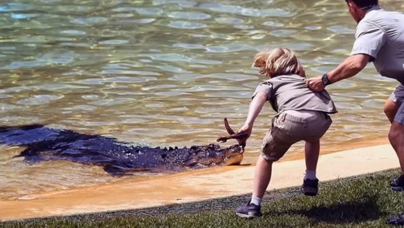 Fiul vânătorului de crocodili, în pericol: Urmașul lui Steve Irwin, atacat de o reptilă uriașă!
