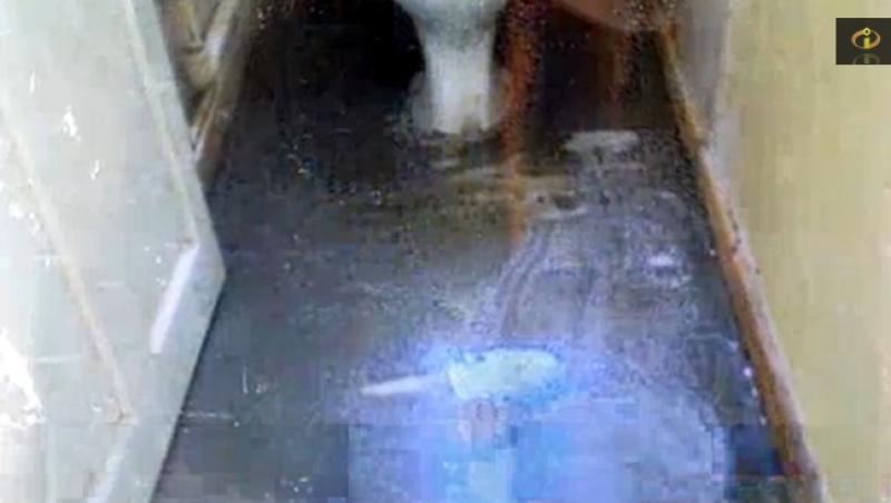 VIDEO uluitor! Semnul DIVIN care a marcat-o pe viață: I-a apărut chipul lui Iisus în casă