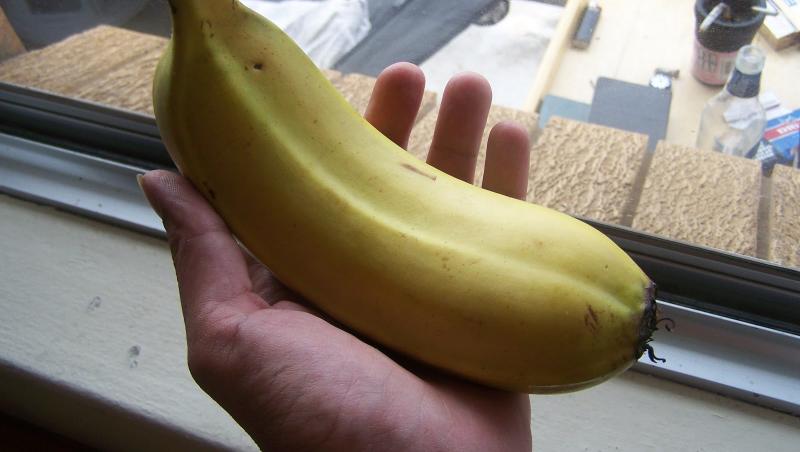 Imaginile cu banana dublă au adunat mii de aprecieri