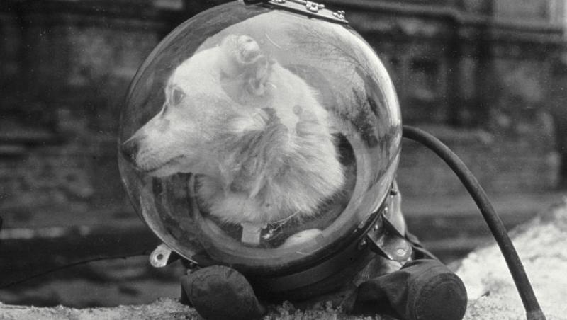 Un costum spaţial pentru câini din anii '50, scos la licitaţie la Berlin