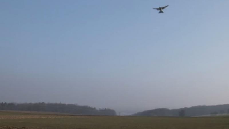 ATENȚIE BUCUREȘTENI! Au invadat Dâmbovița și Lacul Morii! Crezi că-s păsări, dar sunt DRONE! Te filmează non stop!