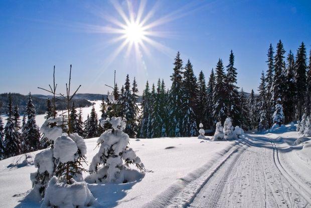 Cum va fi VREMEA &icirc;n următoarele două săptăm&acirc;ni! Prognoza meteo p&acirc;nă pe 25 ianuarie, pentru fiecare regiune a ţării
