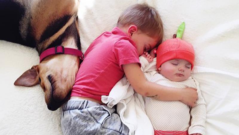 Galerie FOTO: Dragostea dintre un câine şi doi fraţi a înduioşat mii de oameni de pe Internet! Cele mai haioase poziţii în care dorm