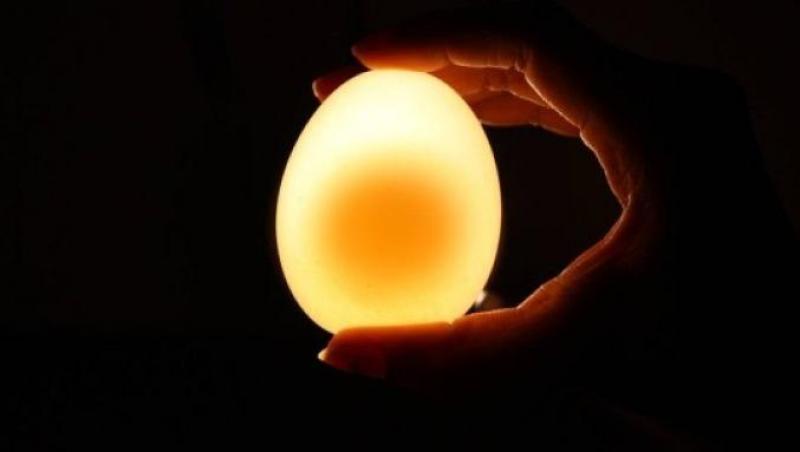 Ce se întâmplă dacă lași un ou timp de două zile într-un pahar cu oțet? Distracție garantată!