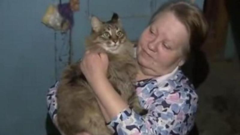 A impresionat o lume întreagă şi a devenit eroină! O pisică a salvat viaţa unui bebeluş abandonat! Cum a fost posibil