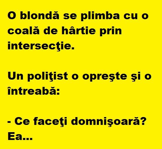 Bancul zilei: O blondă se plimba cu o coală de hârtie prin intersecţie, iar un poliţist…