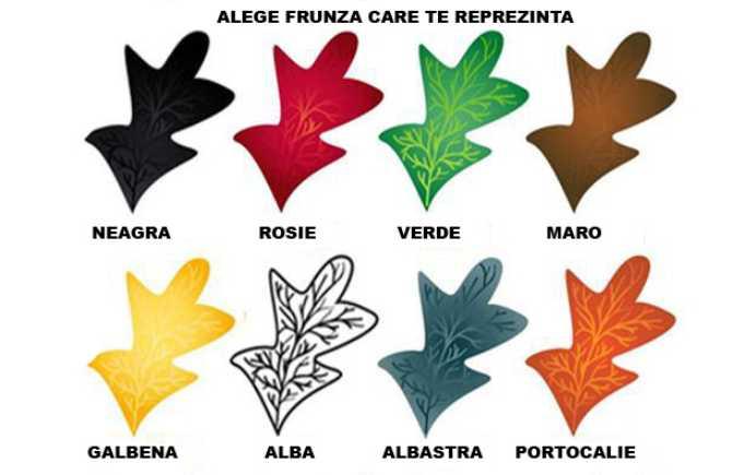 TEST de personalitate! Alege o frunză şi află ce spune asta despre tine