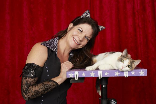 A fost numit "Felina zburătoare" și a ajuns &icirc;n Cartea Recordurilor! Cea mai lungă săritură a unei pisici (VIDEO)