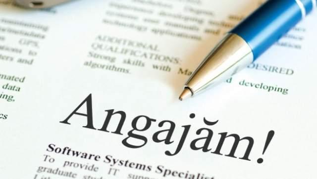 Angajatorii caută 1700 de rom&acirc;ni pentru locuri de muncă &icirc;n Europa! Vezi care sunt joburile disponibile
