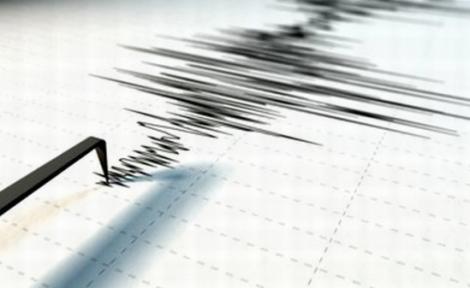 Pământul s-a cutremurat zdravăn în urmă cu puţin timp! Un seism cu magnitudinea 7, 1 s-a produs în Pacific