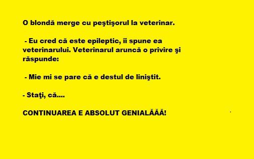 Bancul zilei: Se spune că nu toate blondele sunt proaste, pe naiba! Soţia mea e brunetă, ieri si-a vopsit părul în blond, iar aseară…