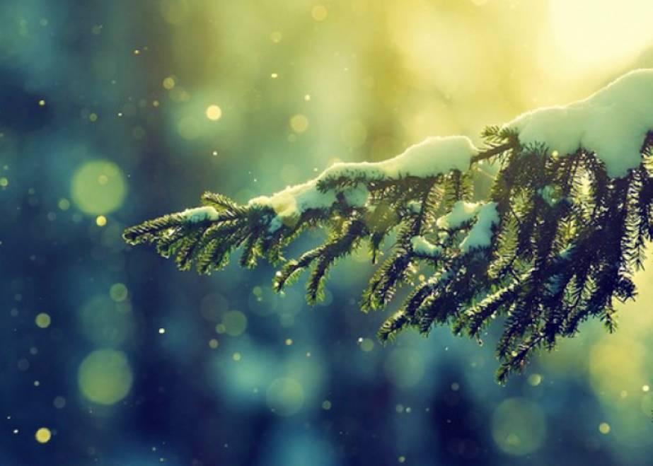 C&acirc;nd vom avea zăpadă iarna aceasta? Meteorologii au re&icirc;nnoit prognoza METEO de Sărbători!