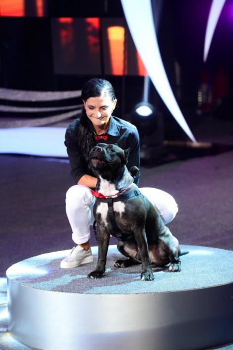 Ham Talent! Rocky, primul câine care cântă: își alege singur repertoriul și face vocalize