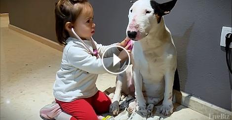 Joaca "De-a doctorul" între o fetiță și câinele ei a cucerit internetul! Reacția animalului de companie este memorabilă (VIDEO)