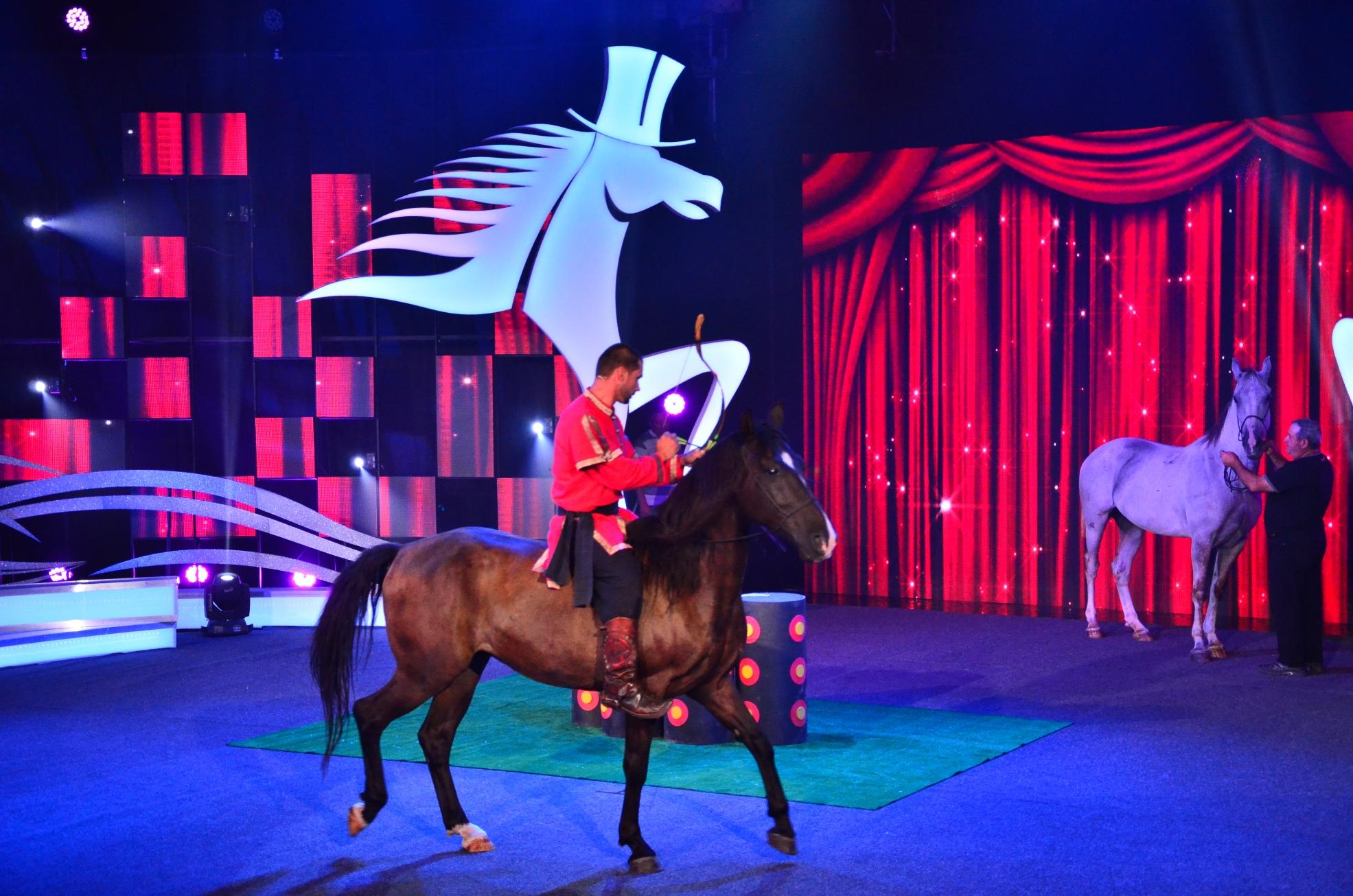 Spectacol TOTAL la „Ham talent”! Namere și Vackor, doi cai din rasa Lipițan, au arătat că sunt făcuți pentru a fi vedete!