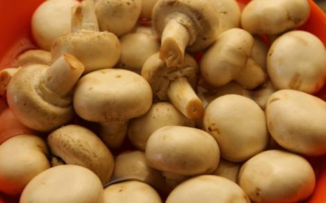 Celebrele ciuperci "Champignon'', beneficii uriașe pentru sănătate. Ce se întâmplă în organismul tău atunci când le consumi