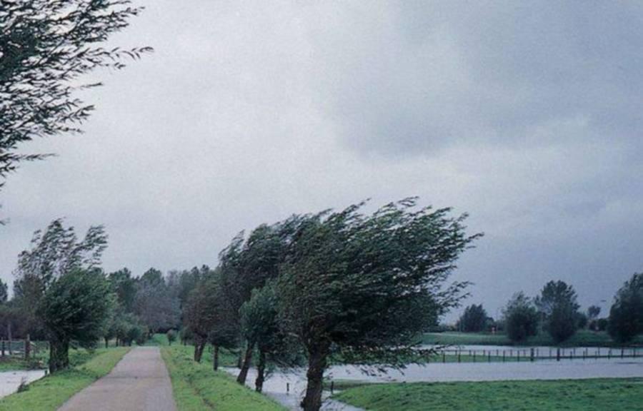 Averizare meteo. V&acirc;nt puternic &icirc;n mai multe județe din țară!