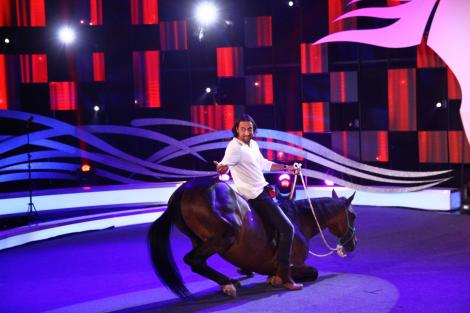 Actorul Denis Ștefan, în rolul vieții lui! Relația pe care o are cu Ardo, calul său, i-a uimit pe jurații "Ham Talent"