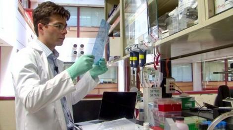 Medicul român care creează creiere în laborator pentru a trata boli