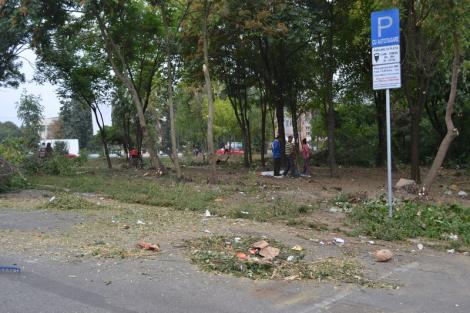 Amenzi usturătoare pentru cei care aruncă gunoaiele pe drumurile publice