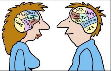 Creierul feminin și cel masculin nu sunt atât de diferite!