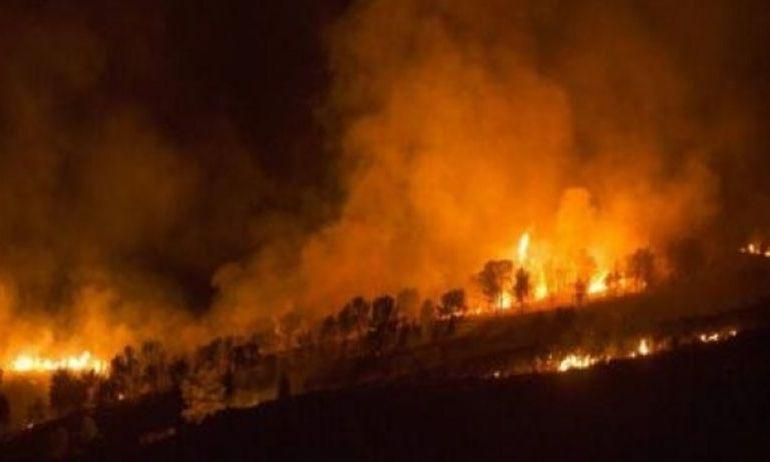 Probleme &icirc;n Spania. INCENDII de vegetaţie &icirc;n nordul țării