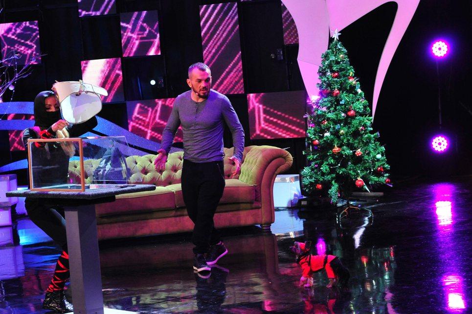 Joi, 24 decembrie, de la 20:30, la Antena 1! Ionuț Pitbull Atodiresei este &icirc;n finala &bdquo;Ham talent&rdquo;