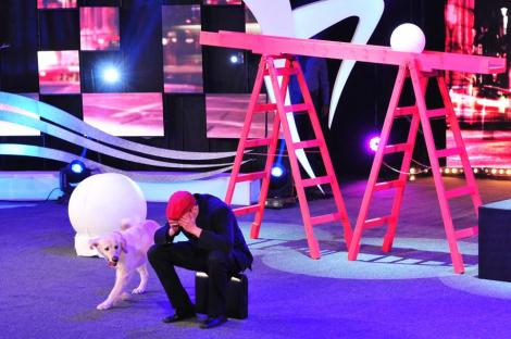 Spectacol canin la înălțime! Oli și Mira nu au dezamăgit nici în finala Ham Talent! Ce reprezentație au oferit