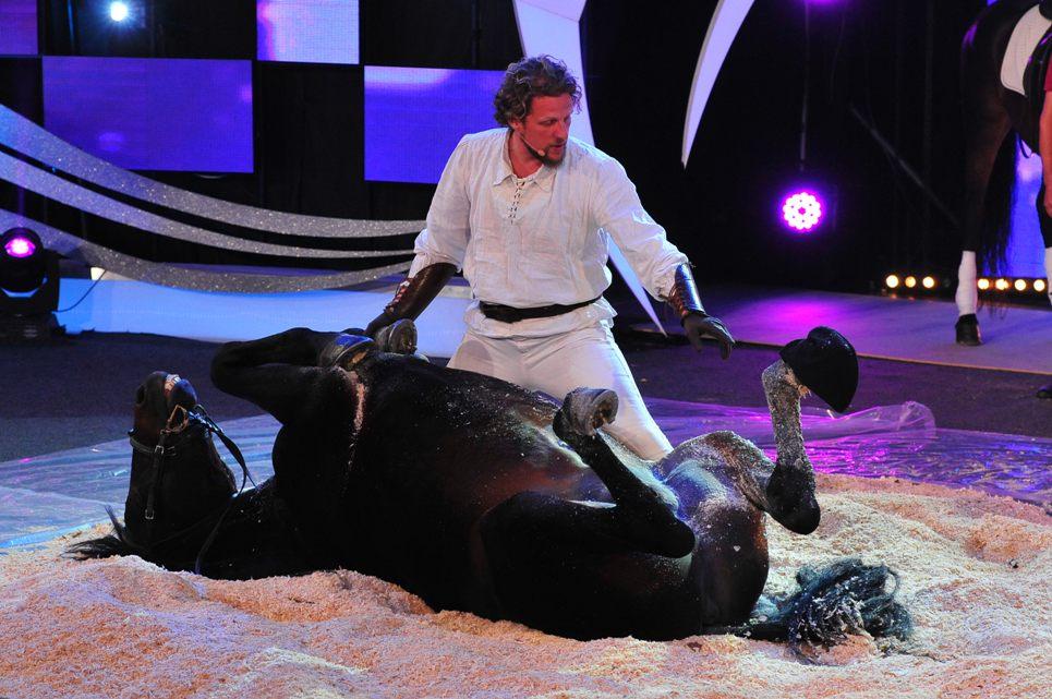 WOW! Caii Levante și Bolero, numere de talent imposibile! Cum au impresionat jurații