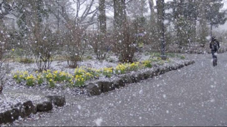 Vremea se menține frumoasă &icirc;n toate regiunile, &icirc;nsă un val de aer polar va traversa țara! C&acirc;nd vor scădea temperaturile