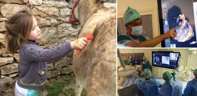 Premieră &icirc;n medicina mondială! Operații pe cord &icirc;nchis, grație unei tehnologii 3D