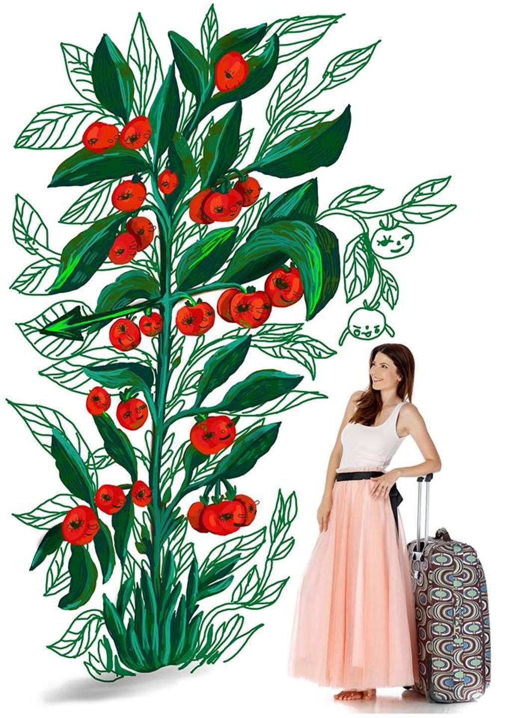 Anca Lungu lansează o carte cu basme culinare: &bdquo;Rețete alese pentru prinți și prințese&rdquo;