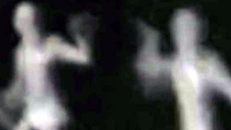 „Mă plimbam când mi-a ieșit creatura asta bizară în cale, e NEPĂMÂNTEANĂ”! Uite ce a filmat bărbatul! (VIDEO)