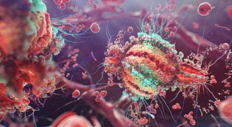 Descoperirea care va schimba medicina: Cercetătorii au reușit să prevină infecția cu virusul HIV