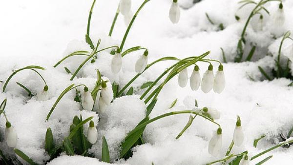 PROGNOZA METEO pentru următoarele trei luni! Specialiştii fac anunţul pe care nimeni nu-l dorea